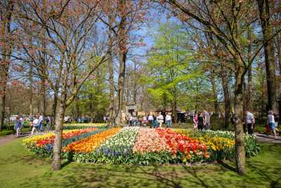 keukenhof-day1/keukenhof-8535-web.jpg