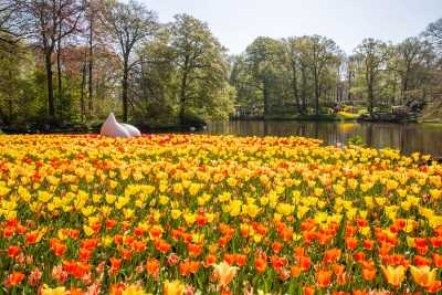 keukenhof-day2/keukenhof-9171-web.jpg