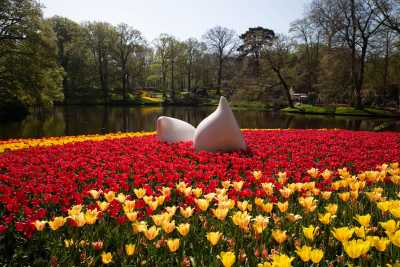 keukenhof-day2/keukenhof-9178-web.jpg