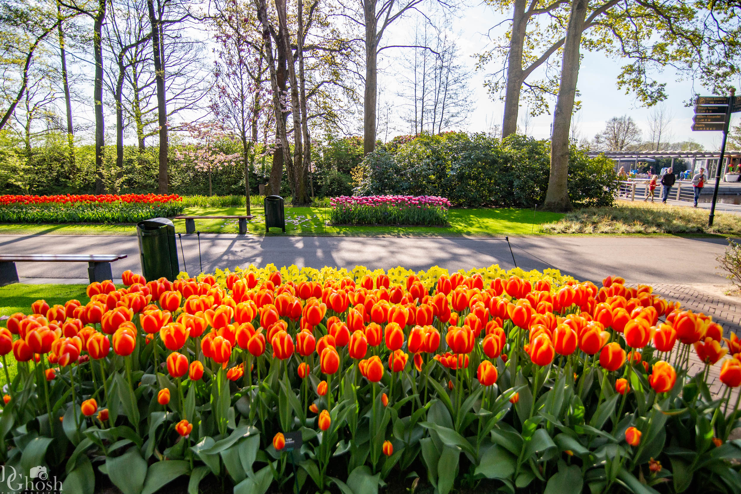 keukenhof2019/_MG_8642-web.jpg