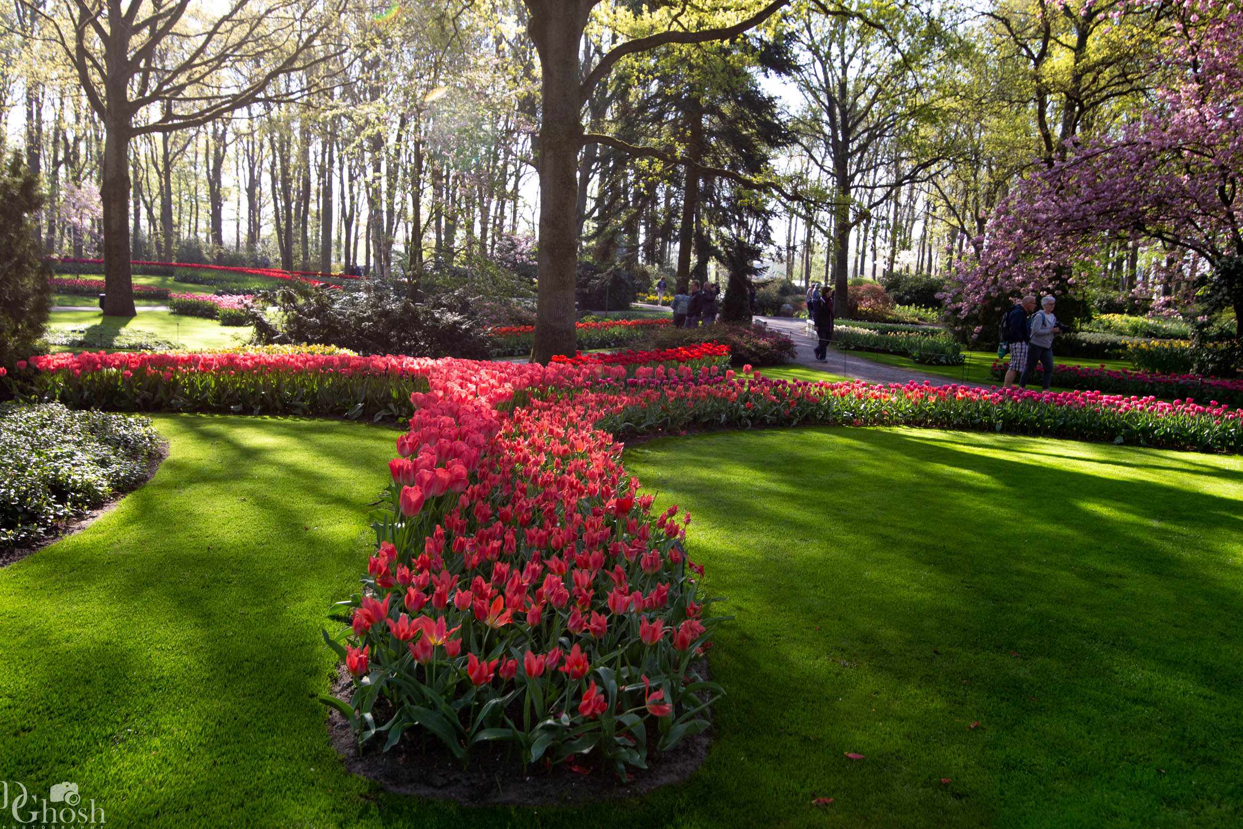 keukenhof2019/_MG_8678-web.jpg