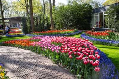 keukenhof2019/_MG_8784-web.jpg