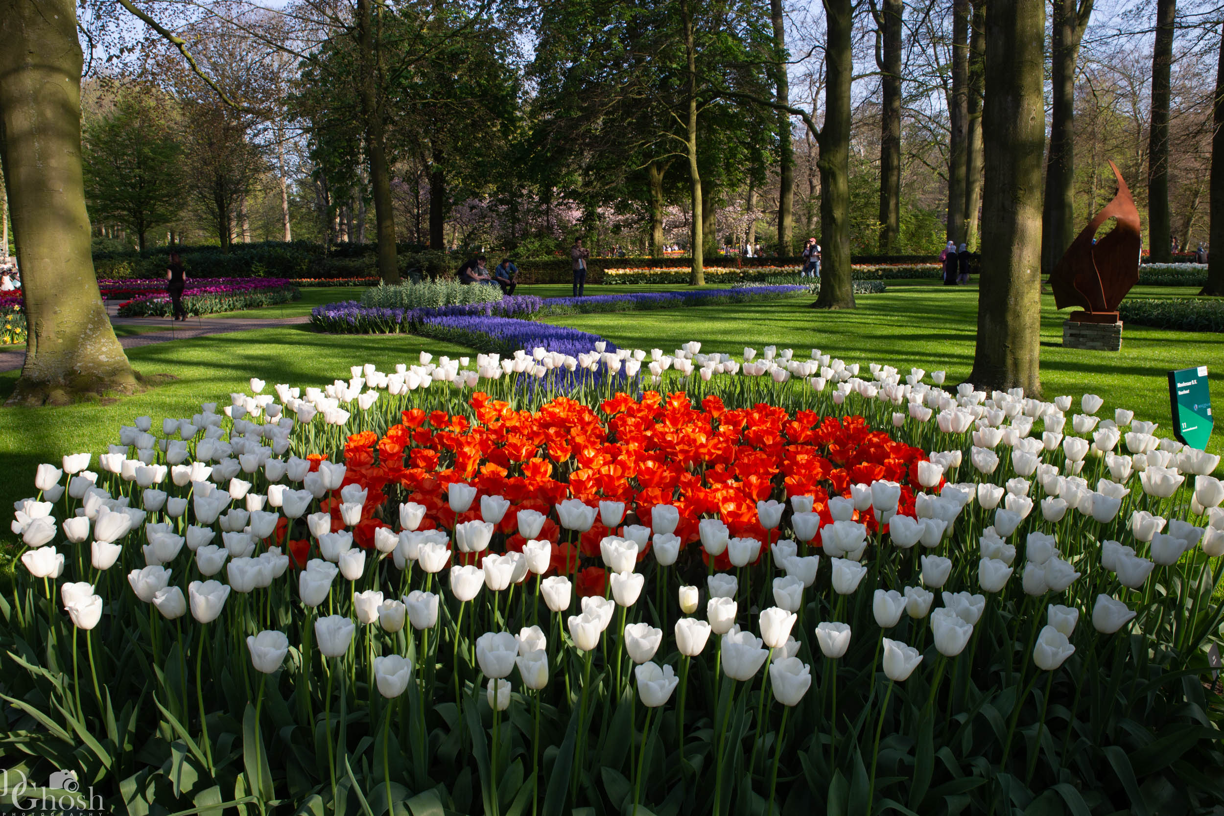 keukenhof2019/_MG_9514-web.jpg