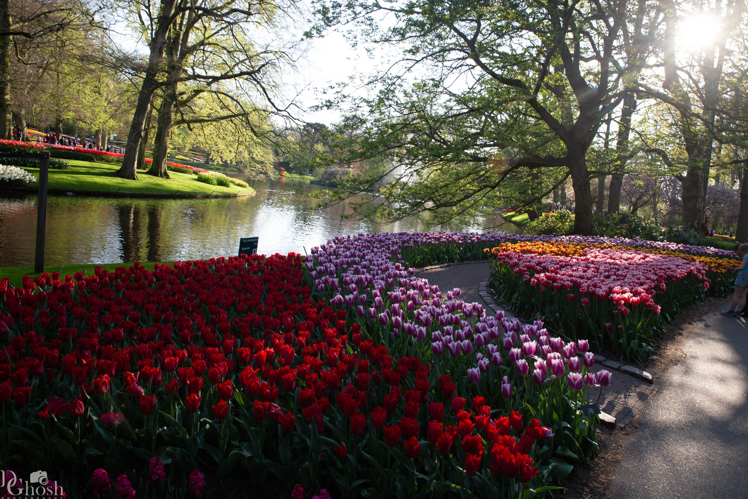 keukenhof2019/_MG_9639-web.jpg