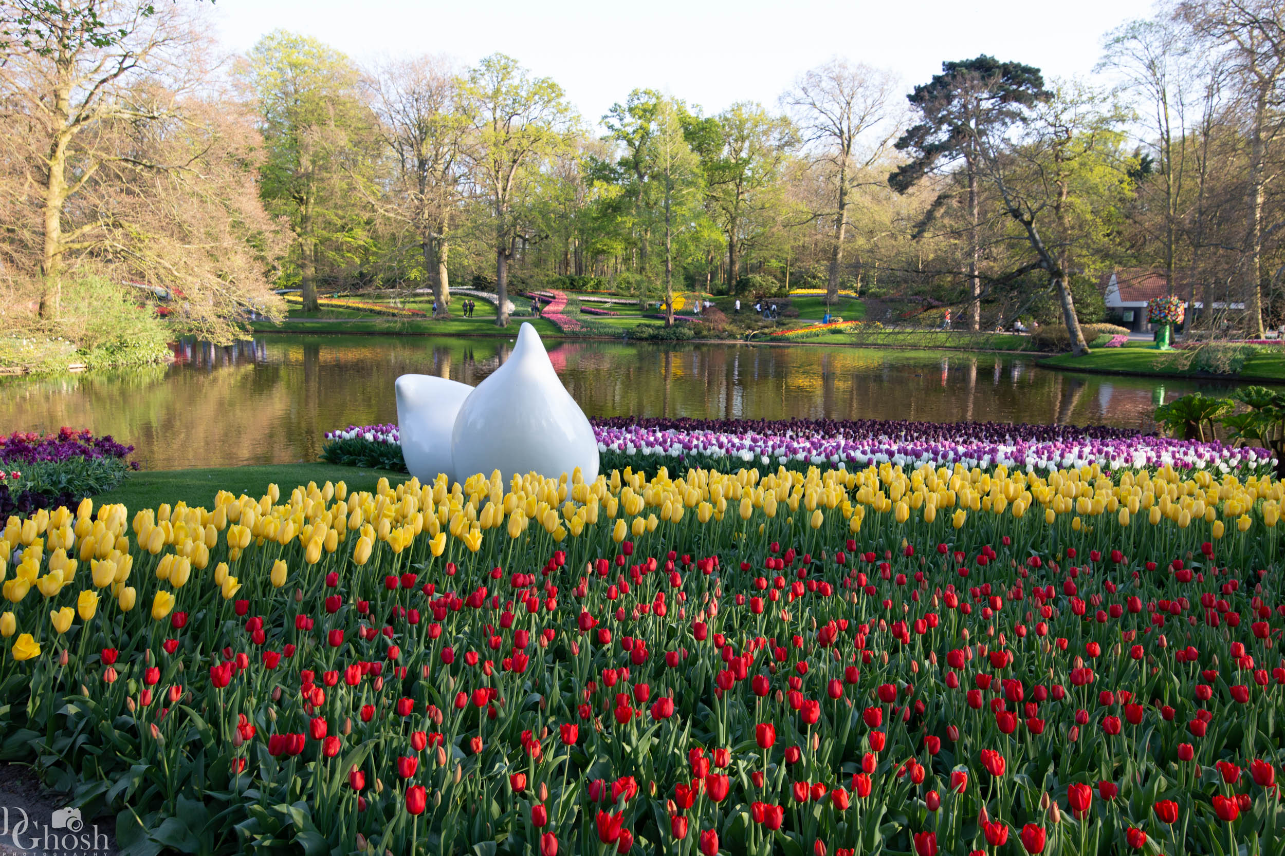 keukenhof2019/_MG_9715-web.jpg