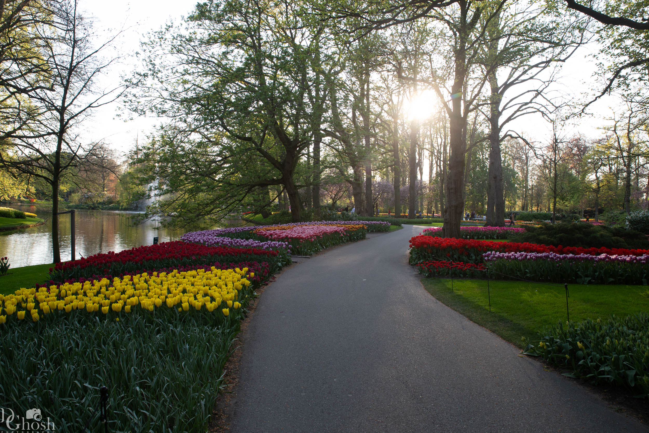 keukenhof2019/_MG_9791-web.jpg