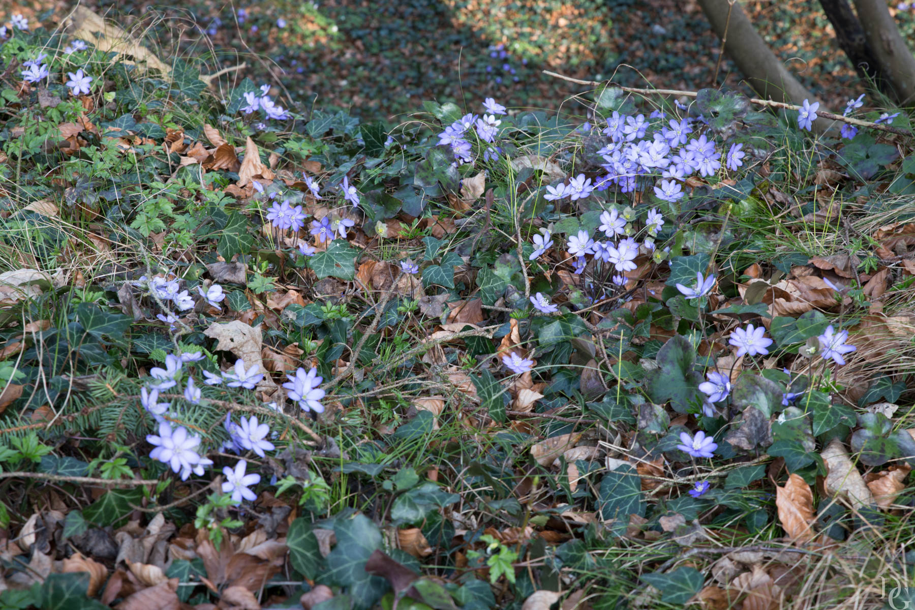 untitled shoot-011-web.jpg