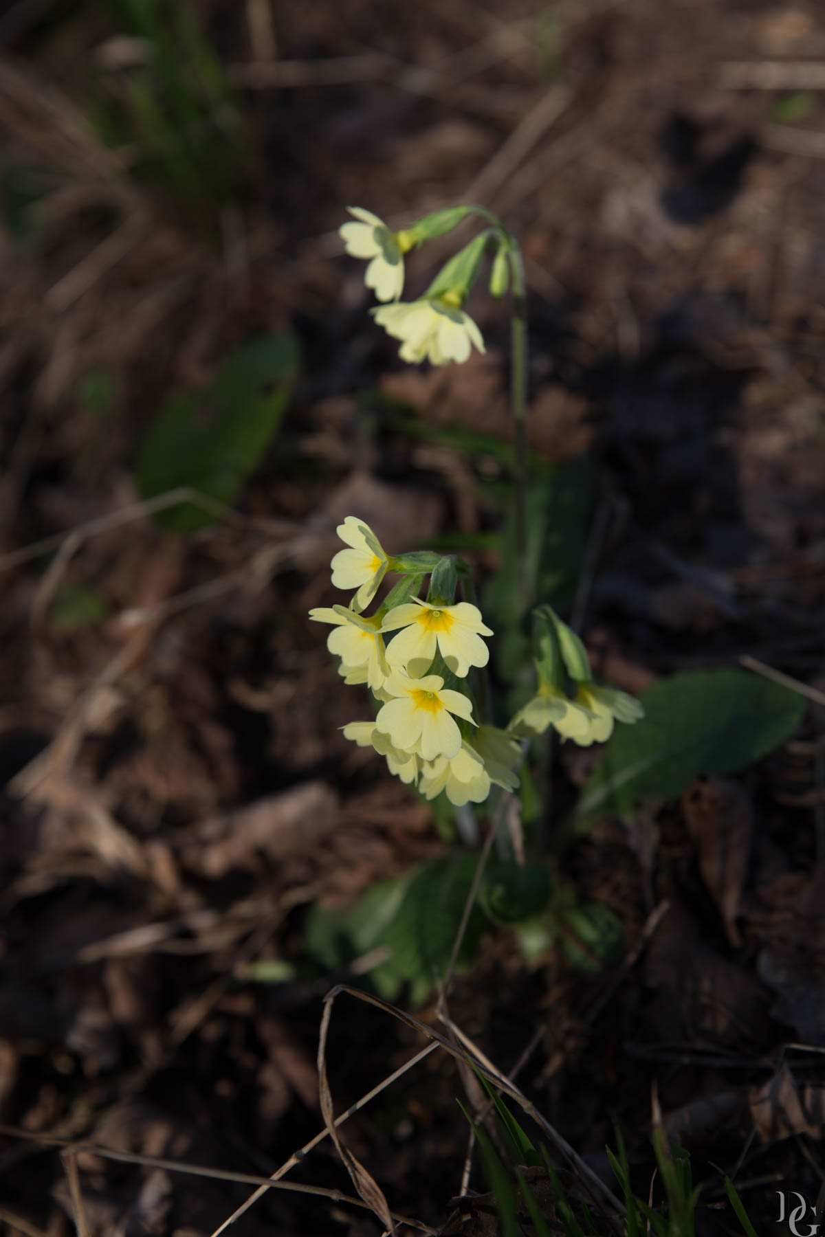 untitled shoot-084-web.jpg