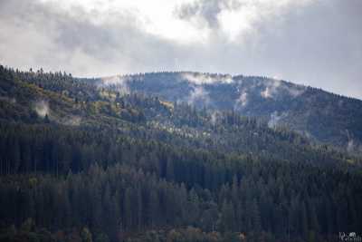 2020-10-07-_MG_5542.jpg